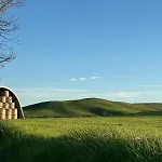 Theo House